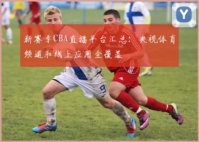 新赛季CBA直播平台汇总：央视体育频道和线上应用全覆盖