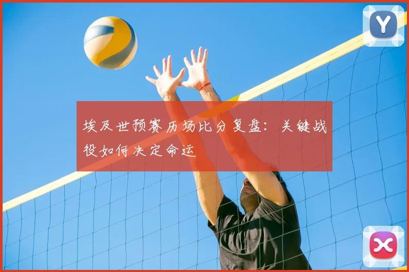 埃及世预赛历场比分复盘：关键战役如何决定命运