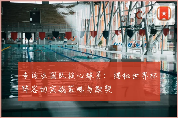 专访法国队核心球员:揭秘世界杯阵容的实战策略与默契