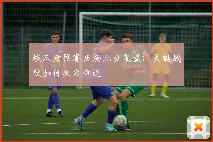 埃及世预赛历场比分复盘：关键战役如何决定命运