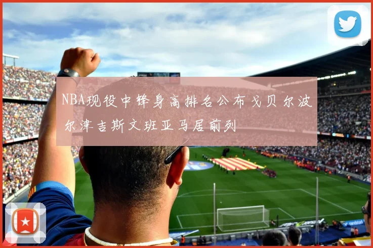 NBA现役中锋身高排名公布戈贝尔波尔津吉斯文班亚马居前列