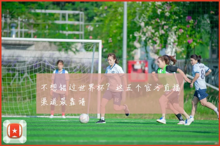不想错过世界杯?这五个官方直播渠道最靠谱