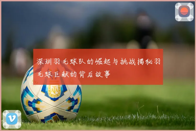 深圳羽毛球队的崛起与挑战揭秘羽毛球巨献的背后故事