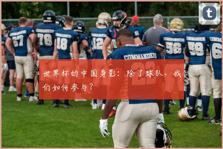 世界杯的中国身影:除了球队,我们如何参与?