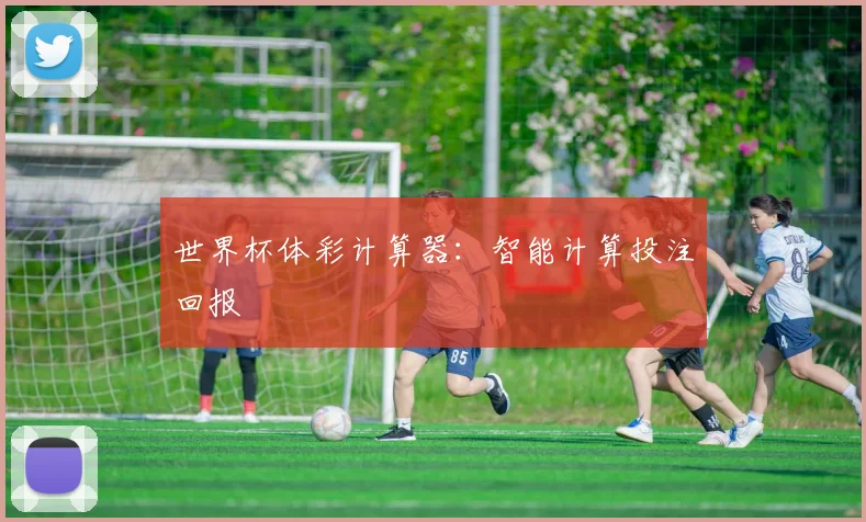 世界杯体彩计算器：智能计算投注回报