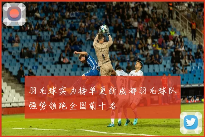 羽毛球实力榜单更新成都羽毛球队强势领跑全国前十名