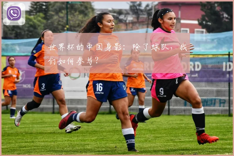 世界杯的中国身影:除了球队,我们如何参与?