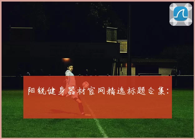 阳锐健身器材官网精选标题合集：