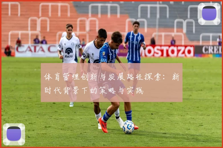 体育管理创新与发展路径探索：新时代背景下的策略与实践