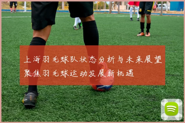 上海羽毛球队状态分析与未来展望聚焦羽毛球运动发展新机遇