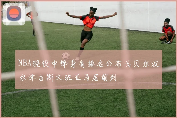 NBA现役中锋身高排名公布戈贝尔波尔津吉斯文班亚马居前列