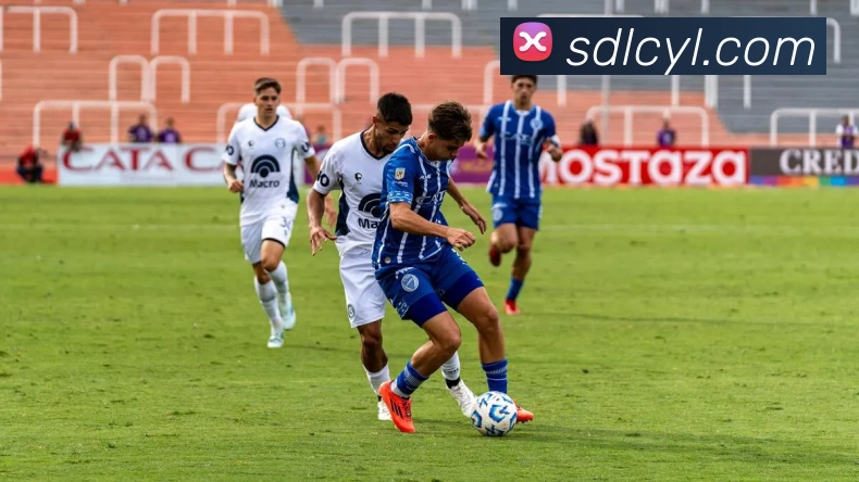 J9集团平台生态图